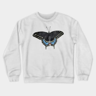 Eastern Black Swallowtail Lady Crewneck Sweatshirt